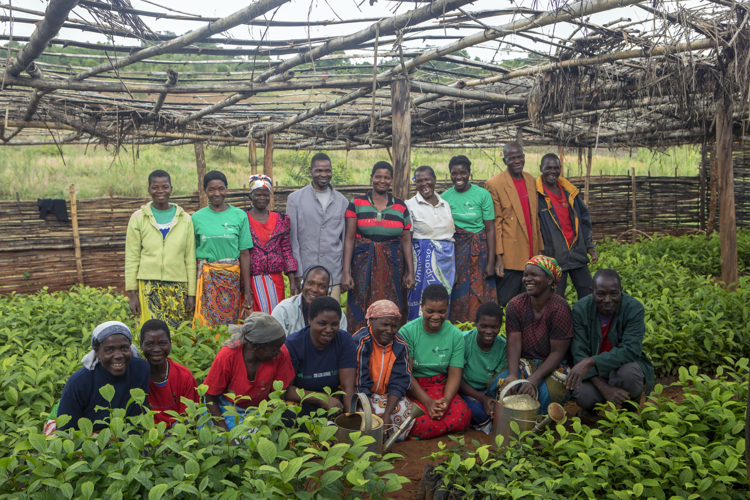 Lingkungan, Sumber Daya Alam, dan Penduduk Negara Saint Vincent and the Grenadines: Dinamika dan Tantangan Keberlanjutan