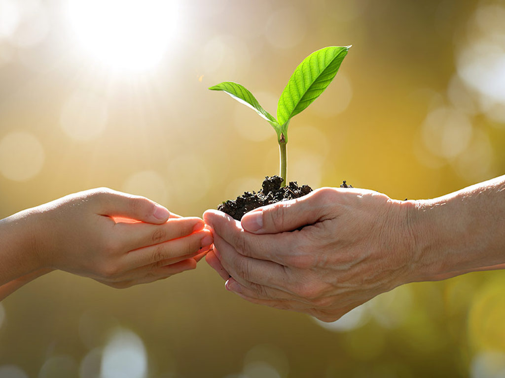 Ayo peduli 3 Cara sederhana selamatkan lingkungan mulai hari ini