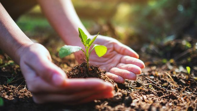 Sumber Daya Alam Bisa Habis Total!