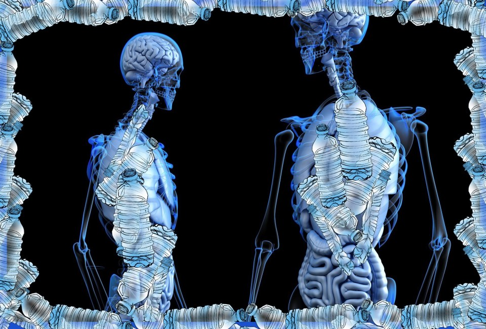 Sampah Plastik Ancaman Nyata Bumi Kita: 7 Fakta Mengejutkan yang Harus Gen Z Tahu di 2025