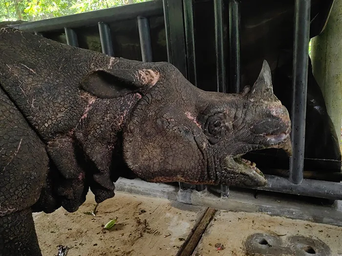 Peran Edukasi dan Penelitian di Kawasan Suaka Margasatwa untuk Konservasi