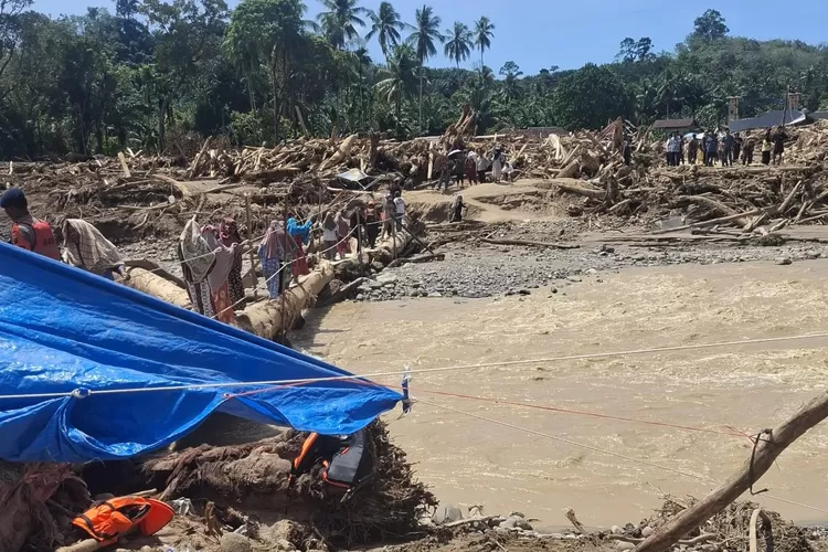 Banjir Longsor Sumatra 836 Tewas: Tragedi Ekologis & Harapan Pemulihan Hutan Indonesia"