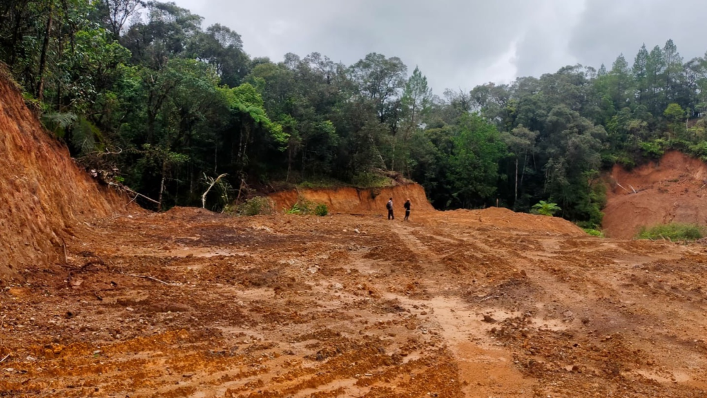 Pembalakan Liar Gowa Tutup Sungai: 1 Ha Hutan Gundul