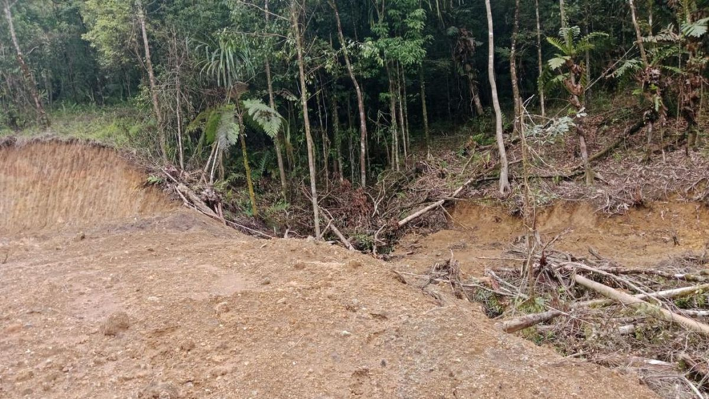 Pembalakan Liar Gowa Tutup Sungai: 1 Ha Hutan Gundul