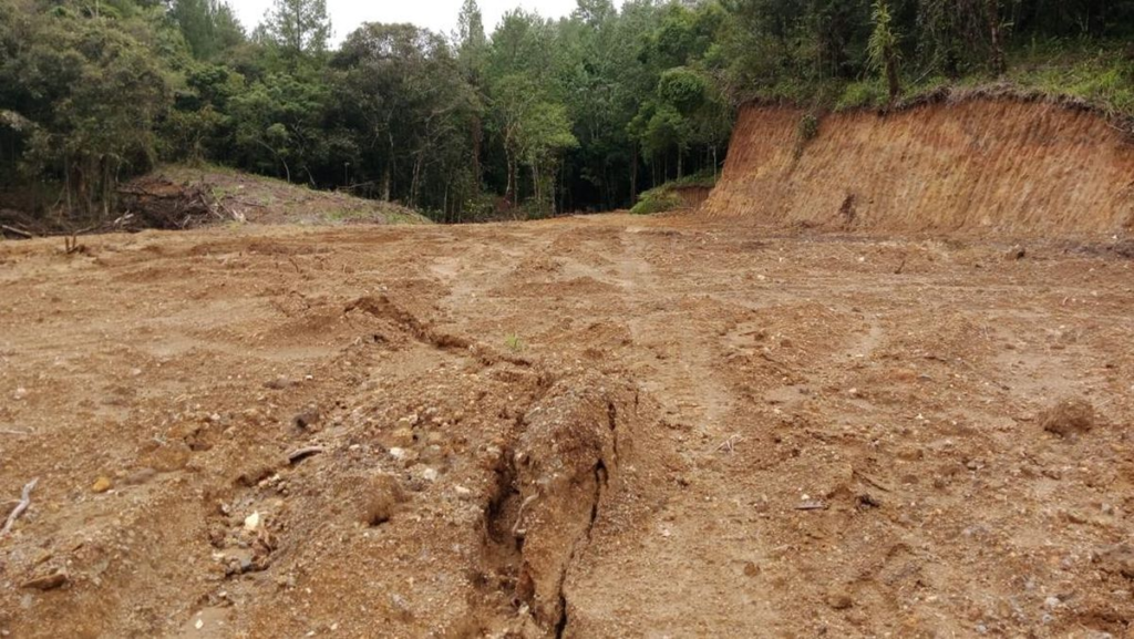 Pembalakan Liar Gowa Tutup Sungai: 1 Ha Hutan Gundul