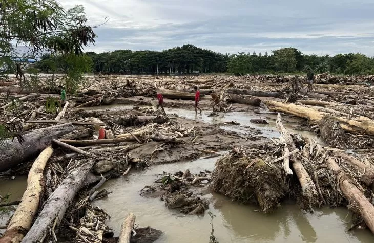 Banjir Longsor Sumatra 836 Tewas: Tragedi Ekologis & Harapan Pemulihan Hutan Indonesia"