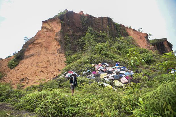 Tragis 11 Juta Ha Hutan Lenyap, Bencana Indonesia 2026