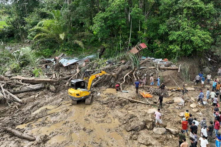 Tragis 11 Juta Ha Hutan Lenyap, Bencana Indonesia 2026