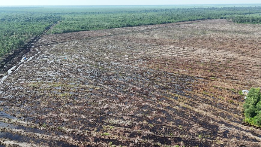 Tragis 11 Juta Ha Hutan Lenyap, Bencana Indonesia 2026