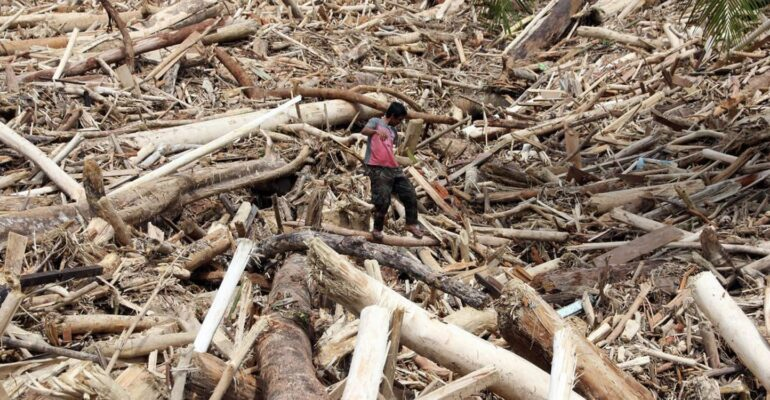 Tragis 11 Juta Ha Hutan Lenyap, Bencana Indonesia 2026
