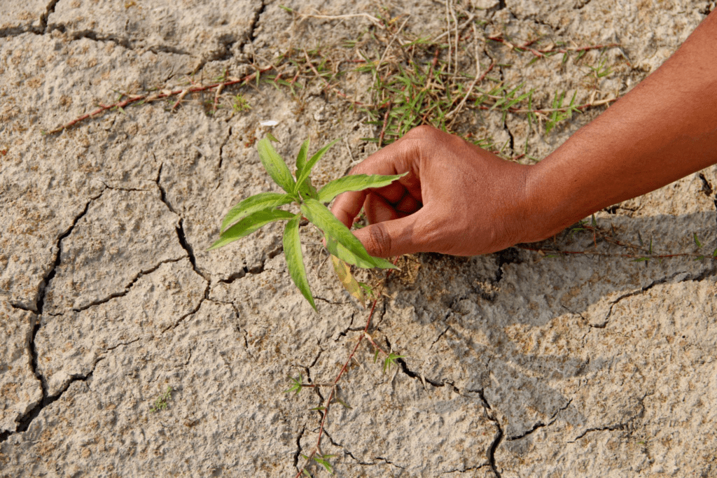 65% Lahan Gambut Terbakar, 5 Fakta Krisis Karhutla 2026