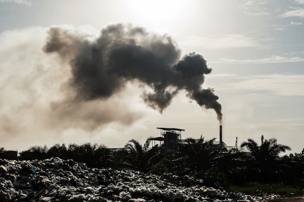 5 Ancaman Lingkungan Paling Serius di 2026 yang Perlu Kita Waspadai Bersama