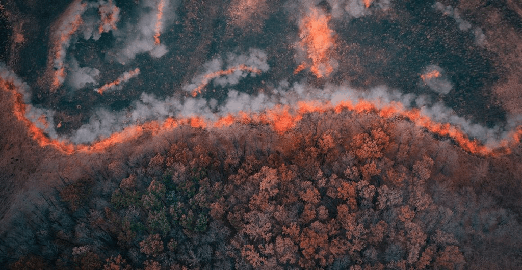 65% Lahan Gambut Terbakar, 5 Fakta Krisis Karhutla 2026