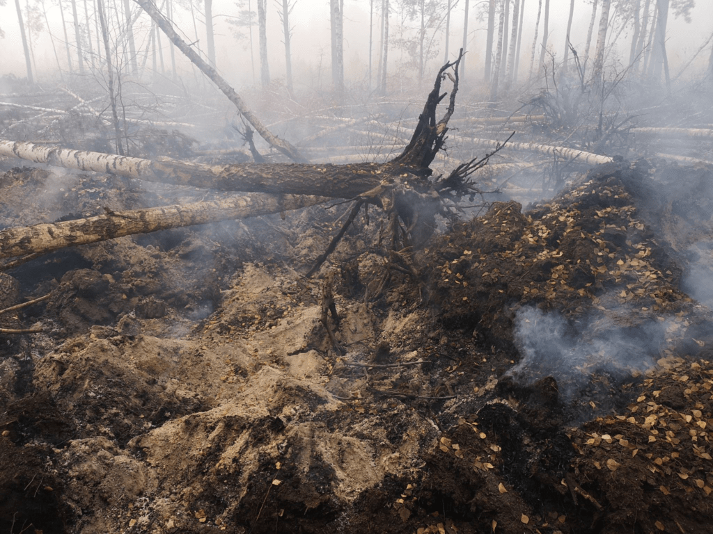 65% Lahan Gambut Terbakar, 5 Fakta Krisis Karhutla 2026