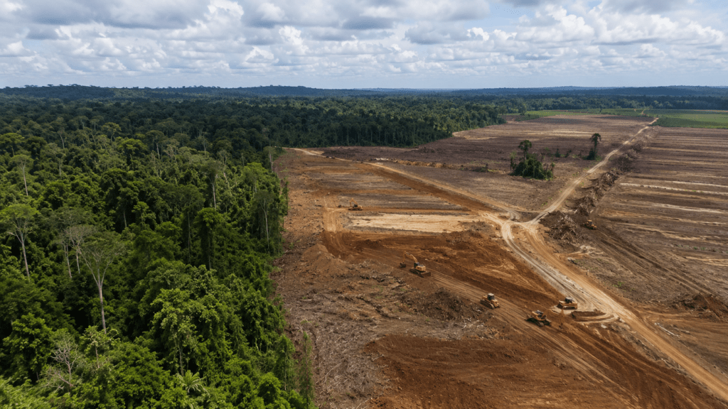 WALHI: 26 Juta Hektar Hutan Alam Indonesia Terancam Deforestasi Legal