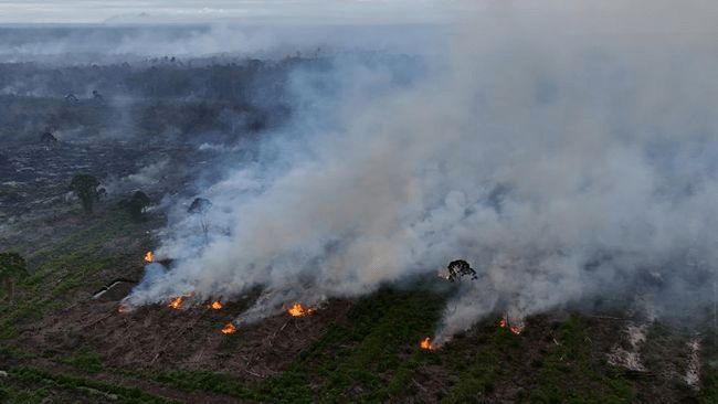 Waspada, Hotspot Karhutla Kalbar Melonjak: 23 Juta Warga Kalimantan Terdampak Asap